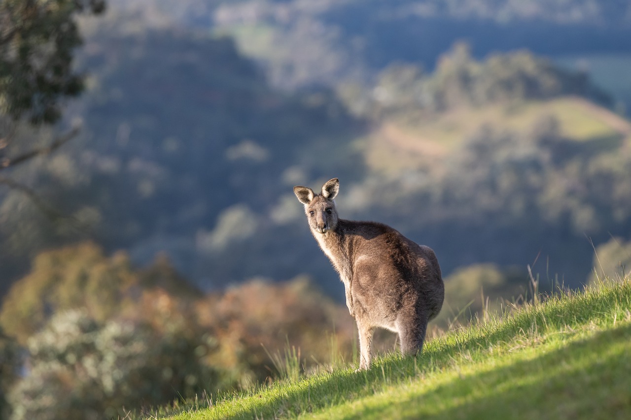 The Most Scenic Hikes in Australia’s Outback